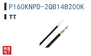 P160KNPD-2QB14B200K