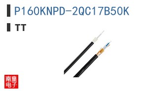 P160KNPD-2QC17B50K