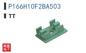 P166H10F2BA503