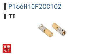 P166H10F2CC102