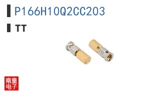 P166H10Q2CC203