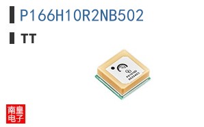 P166H10R2NB502