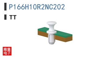 P166H10R2NC202