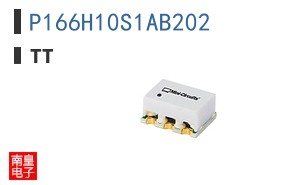 P166H10S1AB202