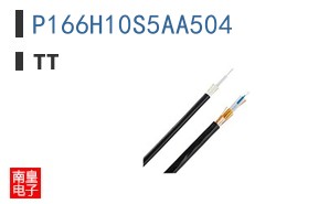P166H10S5AA504