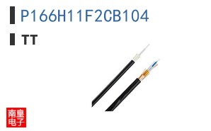 P166H11F2CB104