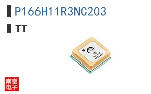 P166H11R3NC203