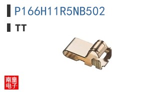 P166H11R5NB502