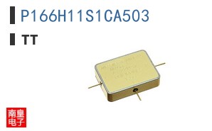P166H11S1CA503