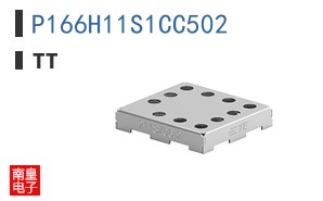 P166H11S1CC502