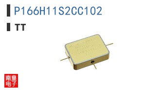 P166H11S2CC102