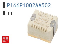 P166P10Q2AA502