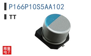 P166P10S5AA102