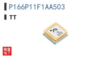 P166P11F1AA503