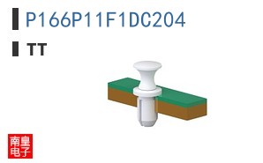 P166P11F1DC204