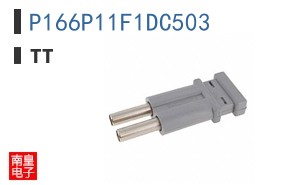 P166P11F1DC503