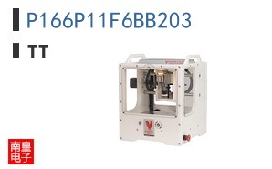 P166P11F6BB203