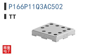 P166P11Q3AC502