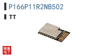 P166P11R2NB502