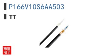 P166V10S6AA503