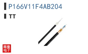 P166V11F4AB204
