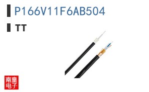 P166V11F6AB504