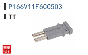 P166V11F6CC503