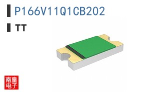 P166V11Q1CB202