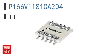 P166V11S1CA204