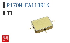 P170N-FA11BR1K