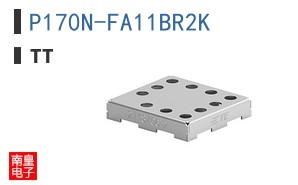 P170N-FA11BR2K