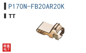 P170N-FB20AR20K