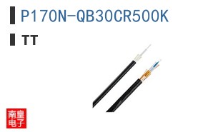 P170N-QB30CR500K