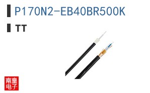 P170N2-EB40BR500K