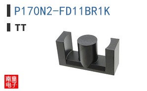 P170N2-FD11BR1K