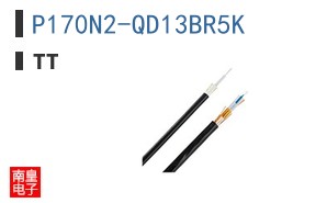 P170N2-QD13BR5K