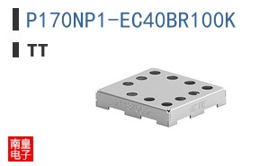 P170NP1-EC40BR100K