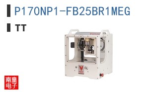 P170NP1-FB25BR1MEG