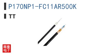 P170NP1-FC11AR500K