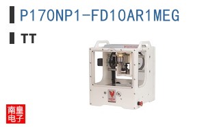 P170NP1-FD10AR1MEG