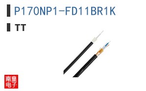P170NP1-FD11BR1K