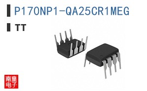 P170NP1-QA25CR1MEG