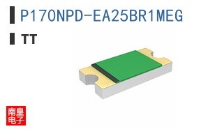 P170NPD-EA25BR1MEG