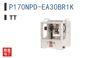 P170NPD-EA30BR1K