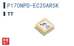 P170NPD-EC20AR5K