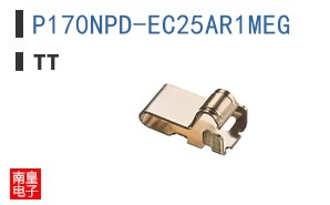 P170NPD-EC25AR1MEG