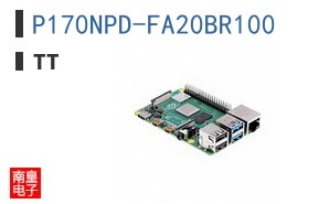 P170NPD-FA20BR100