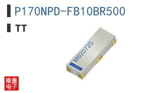 P170NPD-FB10BR500