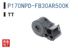 P170NPD-FB30AR500K