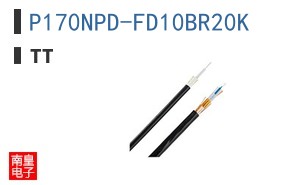 P170NPD-FD10BR20K